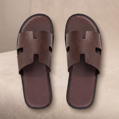 Gentsaro - Slides